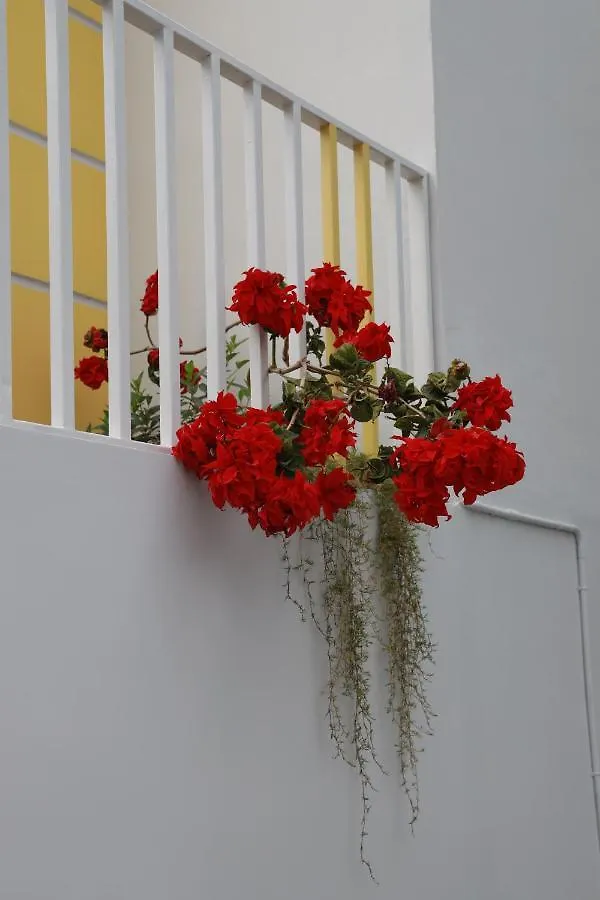 Munnar Bnb Bed & Breakfast